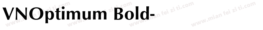 VNOptimum Bold字体转换